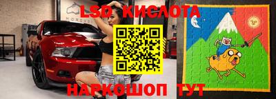амф Кингисепп