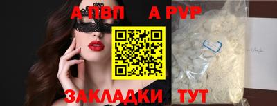 амф Кингисепп