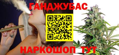 амф Кингисепп