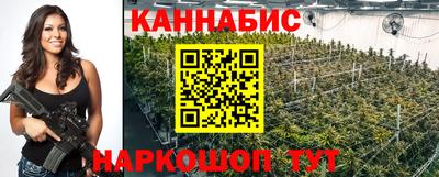 амф Кингисепп
