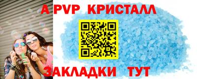 амф Кингисепп